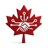 Trade with Canadians logo - B2B matchmaking platform for Canadian businesses